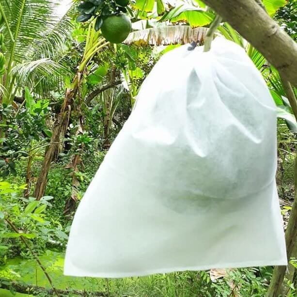 Túi bọc bưởi 30x30cm làm bằng vải không dệt có dây rút  bao 100 cái